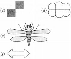 NCERT Solutions for Class 6 Maths Chapter 13 Symmetry 40